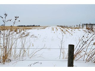 Property photo 20 - AUCTION, 206 Contiguous Acres offered in 5 Tracts
